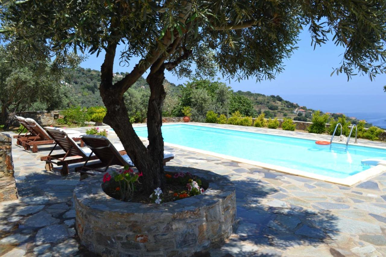 Danai Villa Skopelos Town Exterior photo