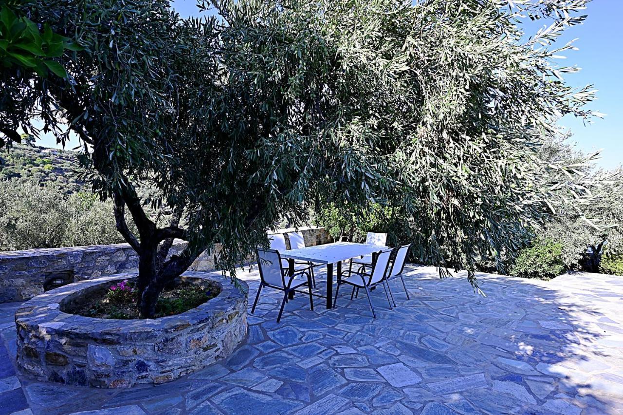 Danai Villa Skopelos Town Exterior photo